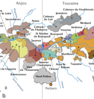 Atelier N°2 : L'analyse Organoleptique et Sensorielle + Dégustation du vignoble de la Loire  29/10/24  à 19h30